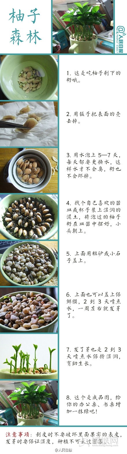 a716fd45jw1eq2m7u4k9ej20c817e46d.jpg