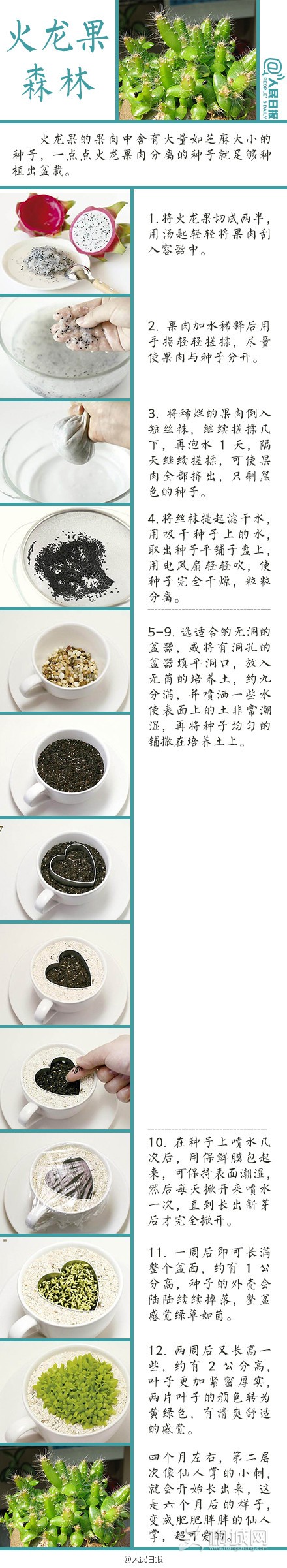a716fd45jw1eq2m7u27nxj20c81uqwqh.jpg