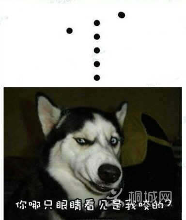 8FA856ACD1A54C412F6E9916404A82F5.jpg