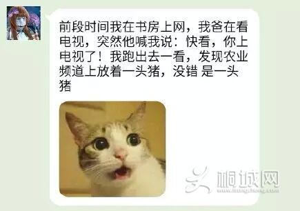 DD92A16A2212E2C618DCF06FF596D228.jpg
