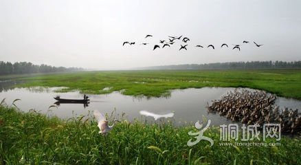 t01d000c1304c022d55.jpg