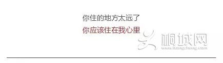 15.webp.jpg