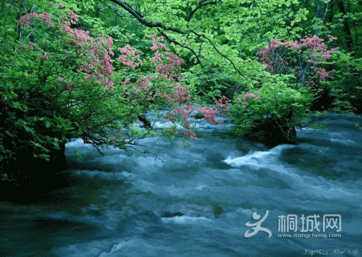 E88608CF6786462DC964172045D1F534.png