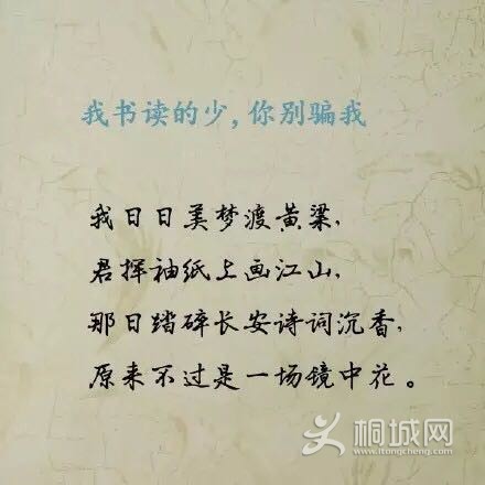 4ADCFB7BECA89F44CE4A02DB93FBEF70.png