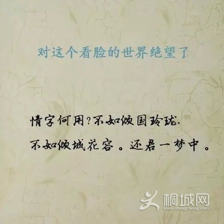 0625936F85CA7E525B4EC96AFE256F2A.png