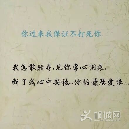 CA1D3D827E8975C63B96AD3422724665.png