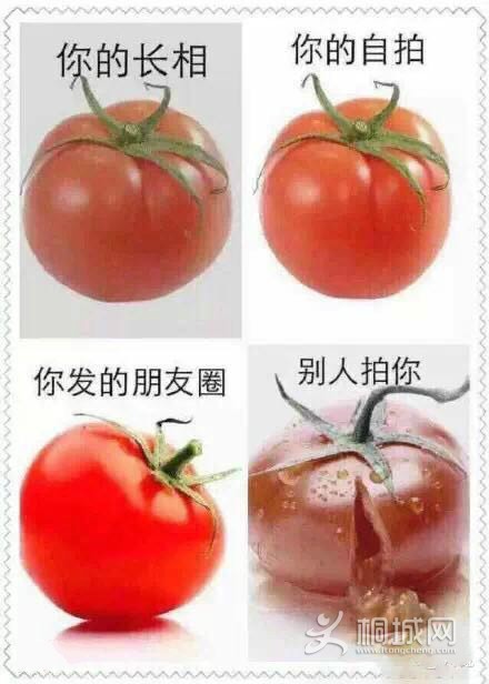 BAAAC2E91615D1BC3EF8543E8E80B1A6.png