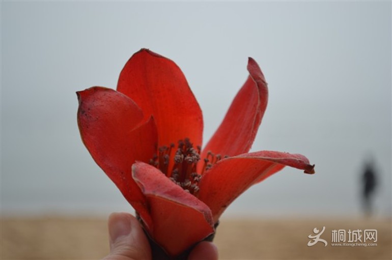 ľ޻_.jpg