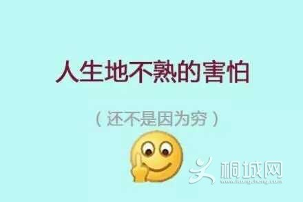 434BD0AADA07D1CF10249FF987D41032.png