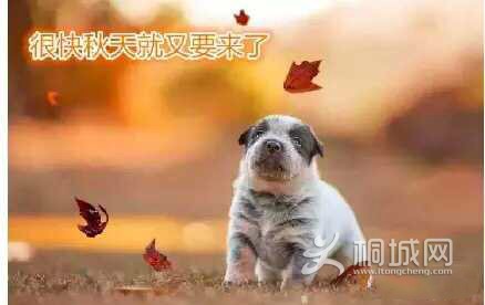 90663ABD0B88CEA6CB796DB24568F022.png