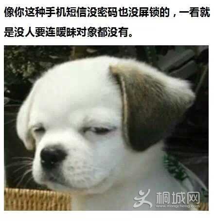 D32B446A0E5D507A37D22F2FB06EDFEA.png