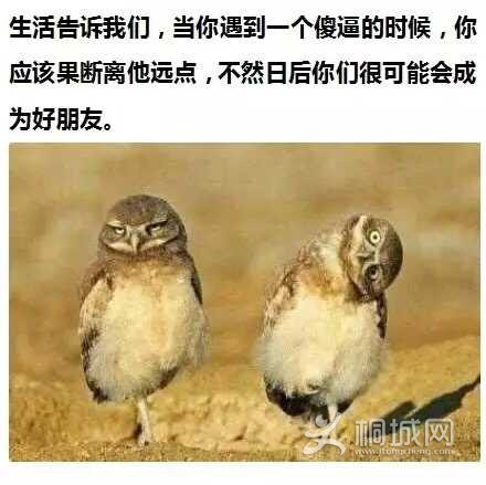 2AB10BA326D57D69B165BA0D14C1EEB0.png