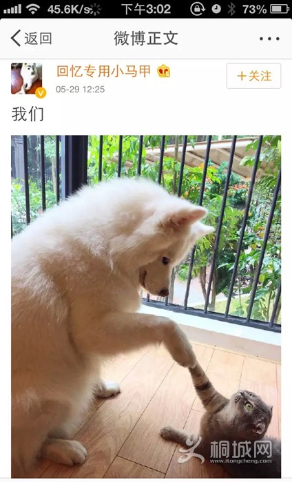 8.webp.jpg