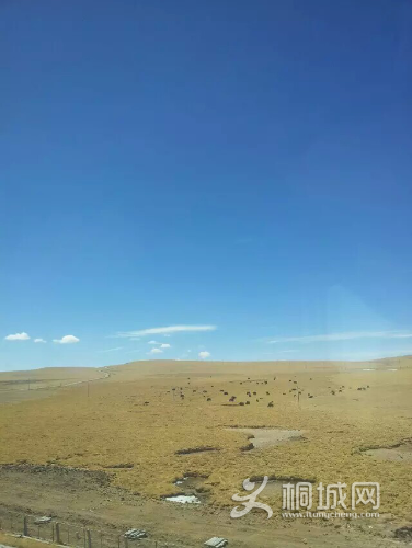 1433297906251.jpeg