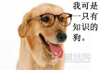 QQͼƬ20150609141718.jpg