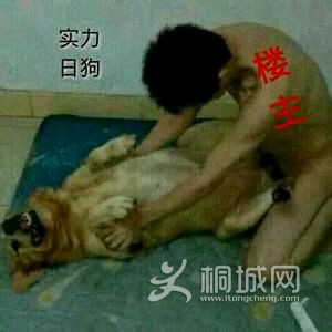e63d892442a7d933a4a9dae7a94bd11372f001ab.jpg