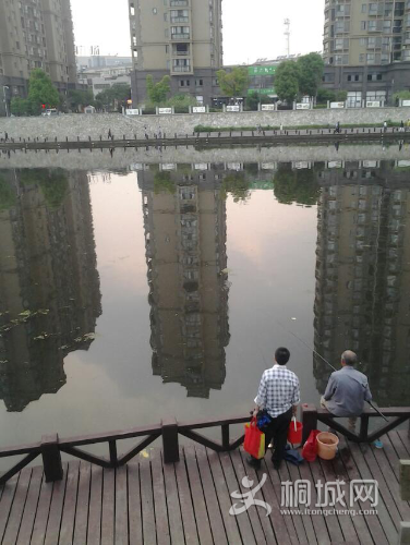 1433913495544.jpeg