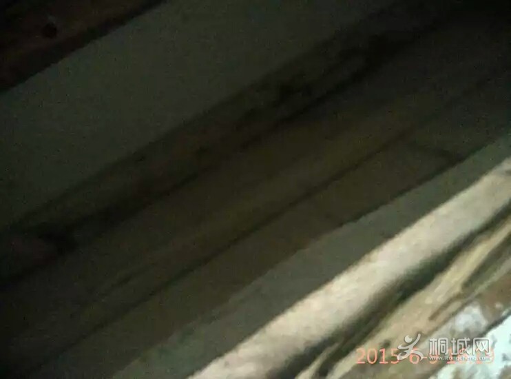 6DB0B854DAAAF5679F9603E80211FB5B.jpg