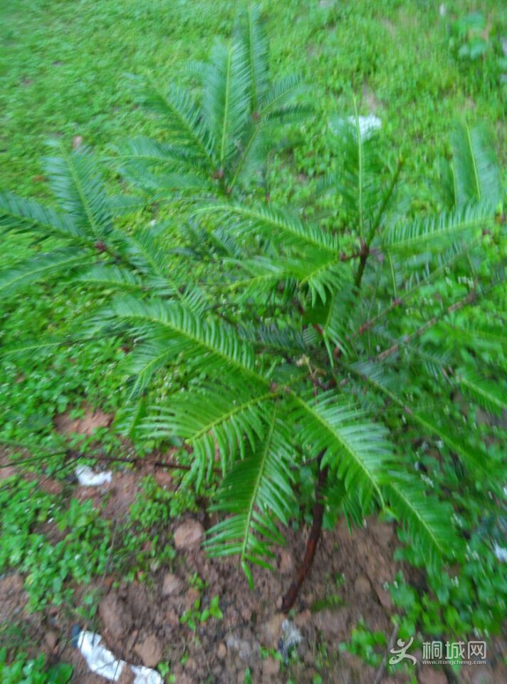 09.jpg