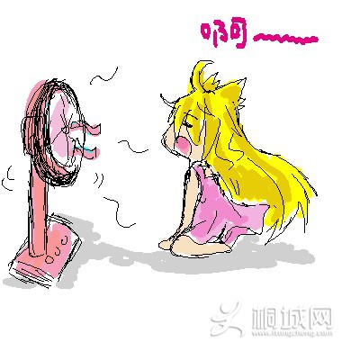50123.jpg