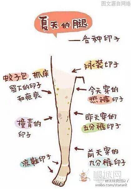 bf97a018367adab4b597b0978ed4b31c8601e42a.jpg