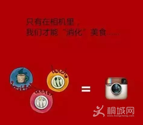 15.webp.jpg