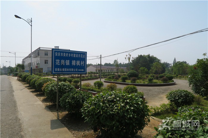 ��̽�����