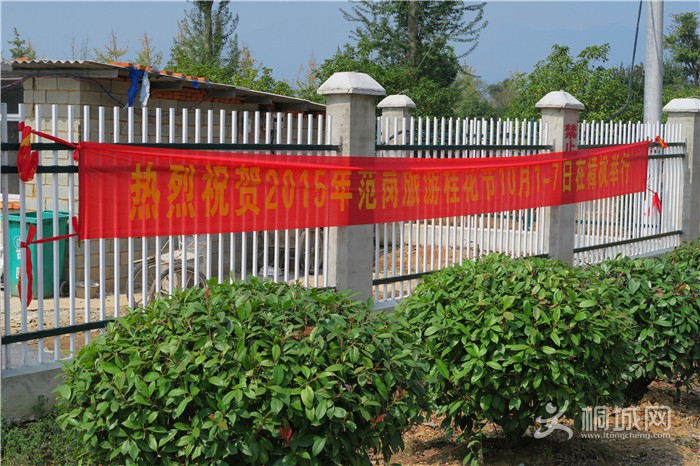 ��̽�����