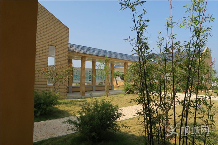 ��̽�����