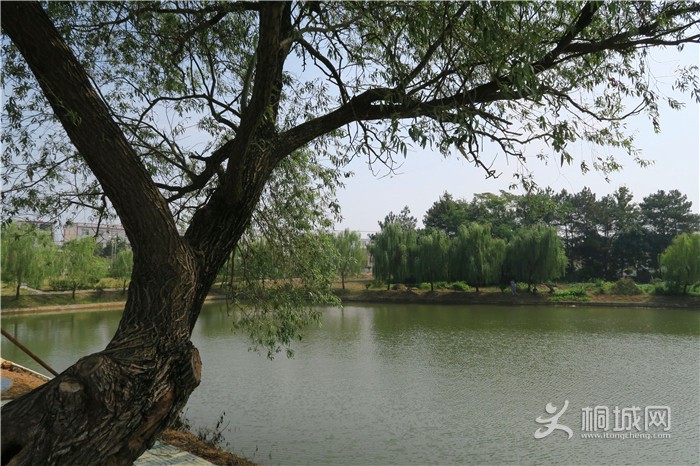 ��̽�����