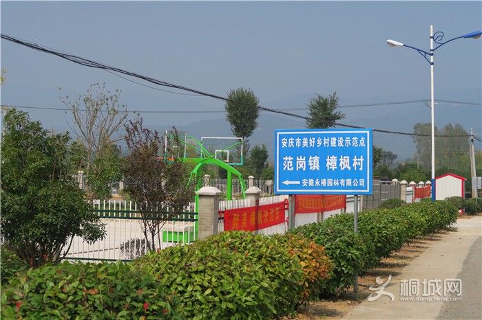 ��̽�����