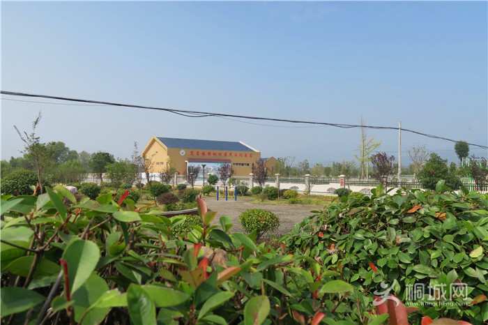 ��̽�����