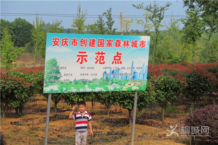 ��̽�����