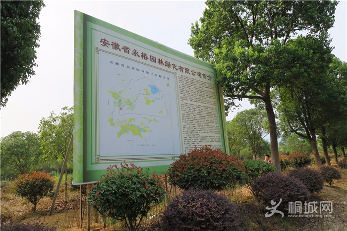 ��̽�����