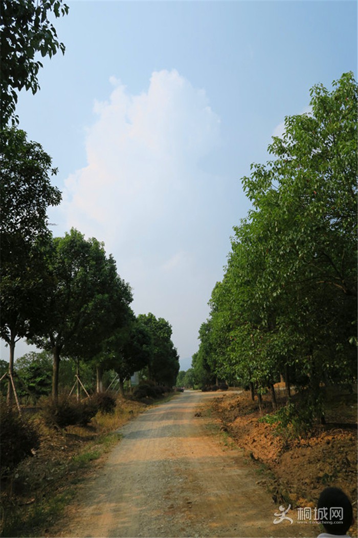 ��̽�����