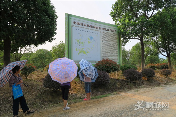 ��̽�����