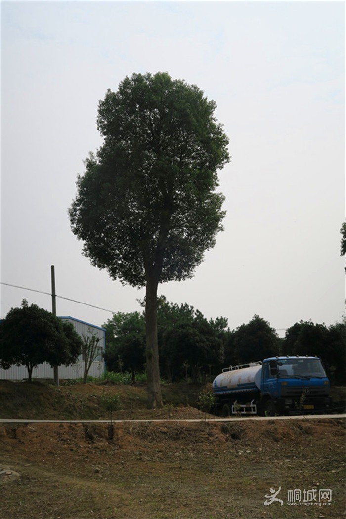 ��̽�����