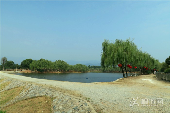 ��̽�����