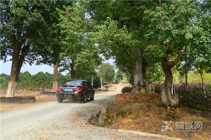 ��̽�����