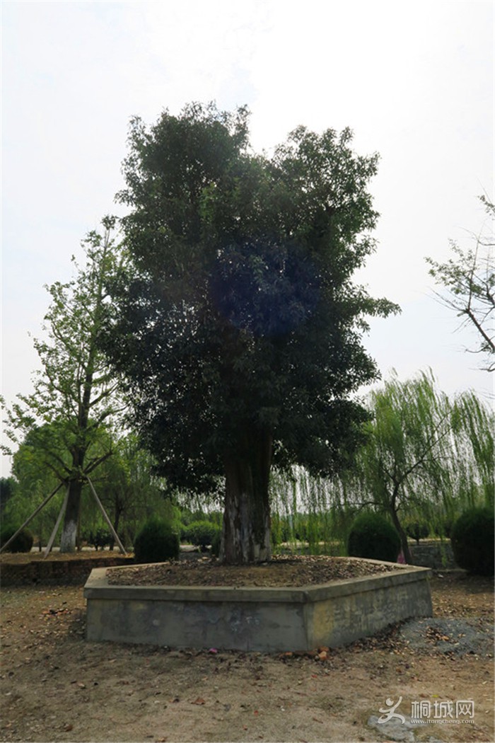 ��̽�����