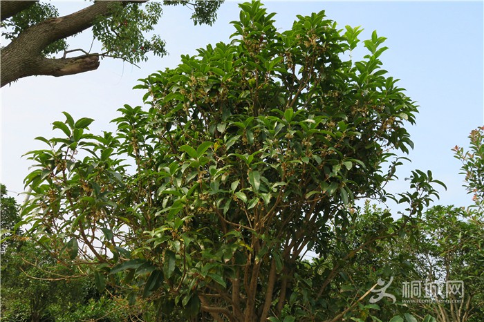 ��̽�����