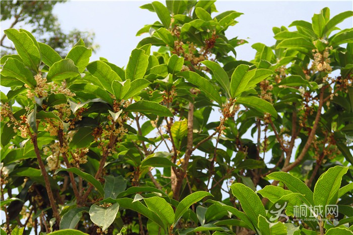 ��̽�����