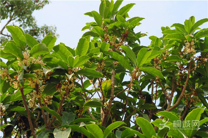 ��̽�����