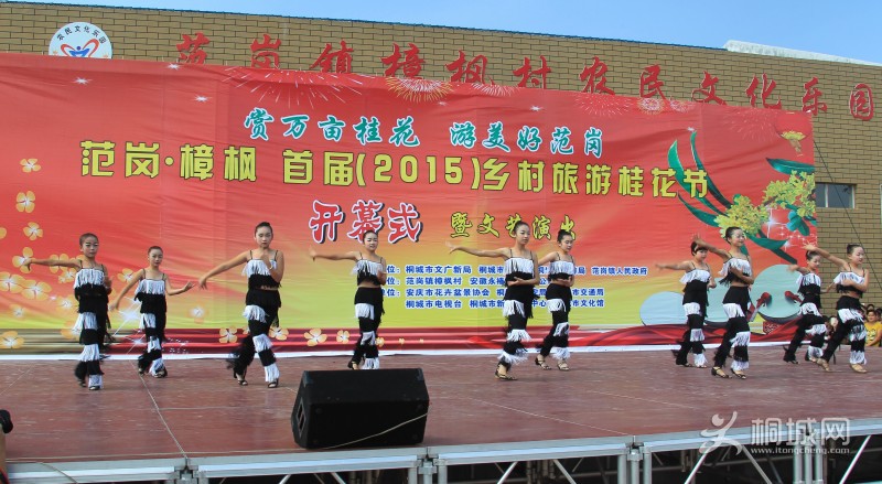 conew_ͩ�Ƿ��ڹ𻨽�ͼƬ (78).jpg