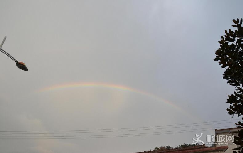 QQͼ20151107091946.jpg
