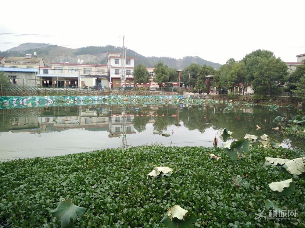 IMG20151028124258.jpg