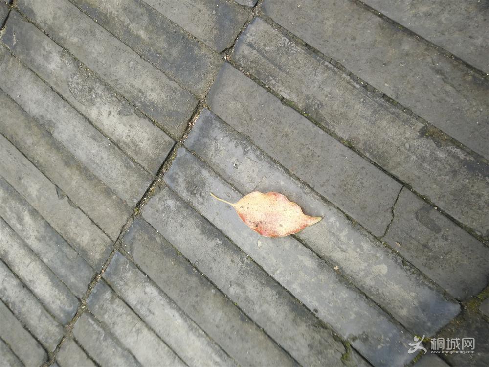 IMG20151028143004.jpg