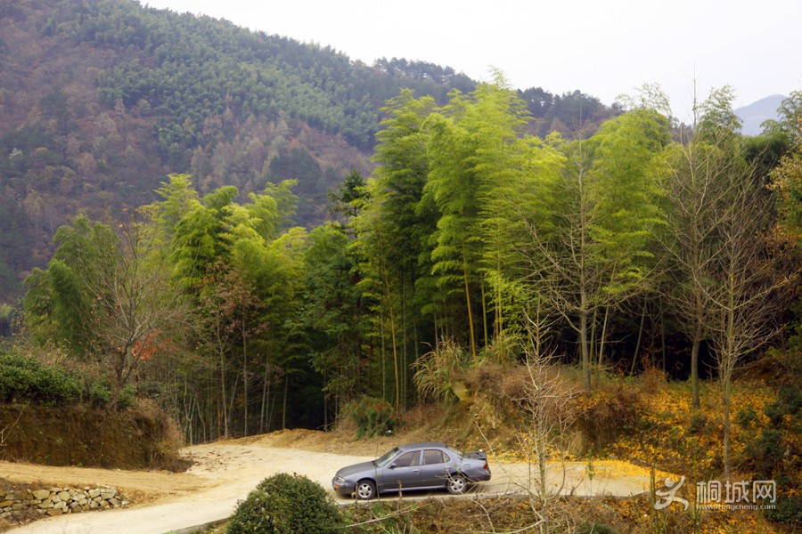 _MG_5333.jpg
