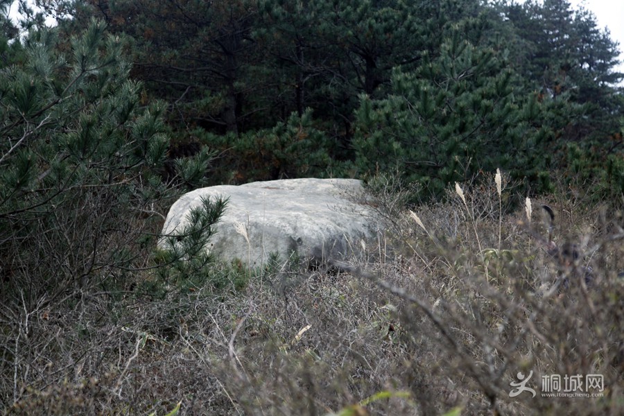 _MG_5282.jpg