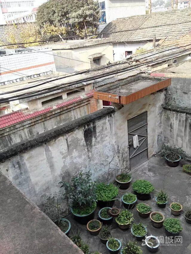 QQͼƬ20160104093156.jpg